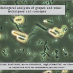 Microbiological Analysis of Grapes and Wine (Iland) out of print