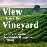 View form the Vineyard (Ohmart)