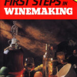 First Steps in Winemaking