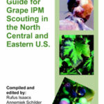Pocket guide for Grape IPM Scouting - North Central/East US
