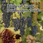 Midwest Grape Production Guide (OH State)