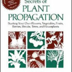 Secrets of Plant Propagation