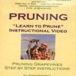 Pruning DVD (Great River Vineyard)