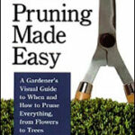 Pruning Made Easy
