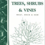 Pruning Trees, Shrubs, and Vines (Storey Bulletin)