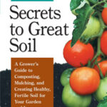 Secrets to Great Soil