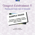 Vineyard Establishment II - Planting and Care (MI State U Bulletin)
